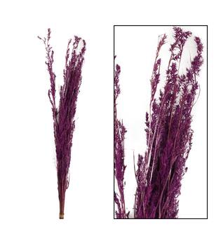 Alfonso grass nature 100gr