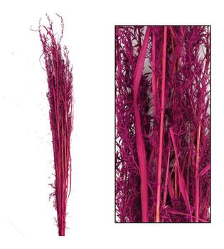 Alfonso grass nature 100cm 100gr