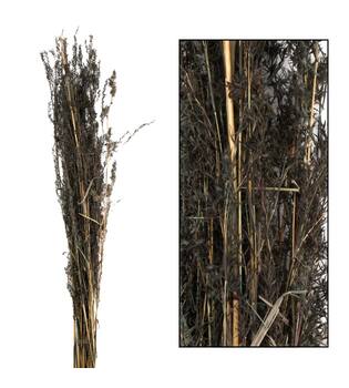 Alfonso grass nature 100cm 100gr