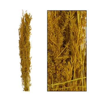 Alfonso grass nature 100cm 100gr