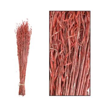 Oat grass nature 60-65cm 100gr