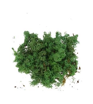 Mousse - Mousse de renne - 40gr - Naturel - 10x4x22cm - Vert