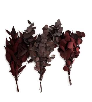 Eucalyptus bunch mix 55gr 1bunch mix box A/3