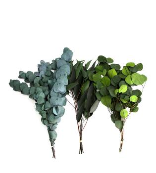 Eucalyptus bunch mix 55gr 1bunch mix box A/3