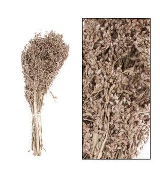 Aloha grass 45-55cm 100gr - White
