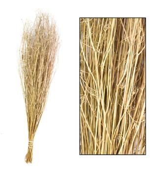 Coriander grass 60-65cm 50gr - Natural