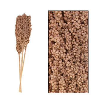 Indian corn nature 70x10x6.5cm 3pc - Multi