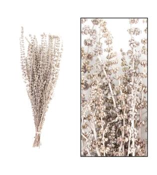 Palma grass nature 50-65cm 100gr - White