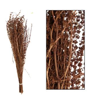 Palma grass nature 50-65cm 100gr - Natural