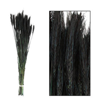 Triticale 66x16x6cm - Black