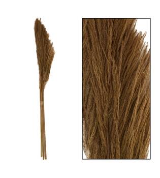 Pampas grass Sem nature 160cm 3pc - Natural