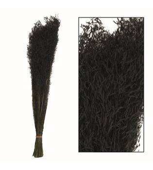 Munni grass 60-70cm 90-100gr