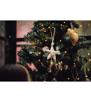 Tree Lars PVC 130x130x240cm