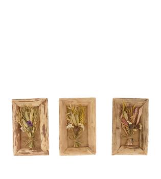 Dried flower in frame nature with hanger 22.5x14x4cm A/3