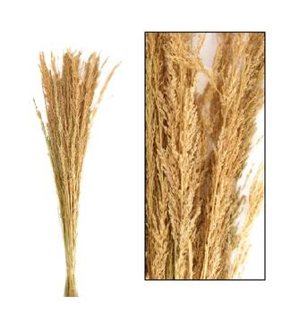 Richmond grass nature 100gr