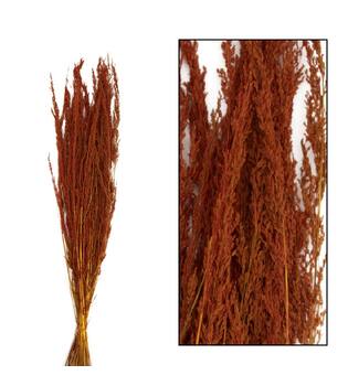 Richmond grass nature 100gr