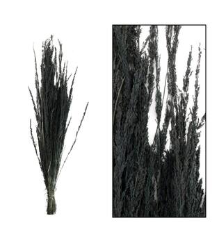 Richmond grass nature 100gr - Black