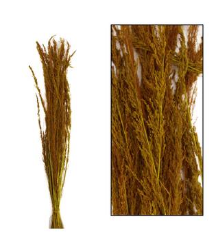 Richmond grass nature 100gr - Yellow