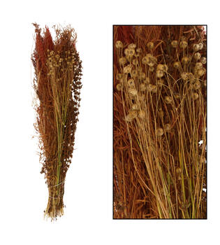 Dried flower bouquet