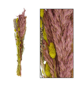 Dried flower bouquet - Multi