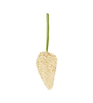 Hanger cone grass 6x6x12cm - Natural