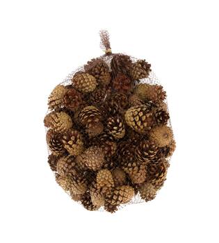 Pinecone silvesters nature 1kg - Natural