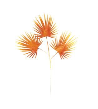 Branch with leaves artificial 70x50x3cm - Orange