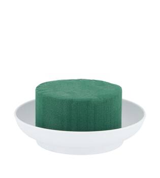 Floral foam round on plate foam 10x10x10cm - Natural
