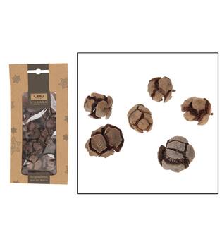 CASAYA Zypressen, ca. 200g natur
