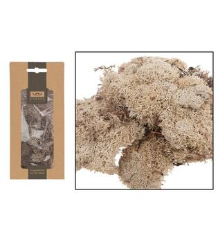CASAYA Islandmoos, 40g natur