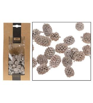 CASAYA Casuarina 100g weiss